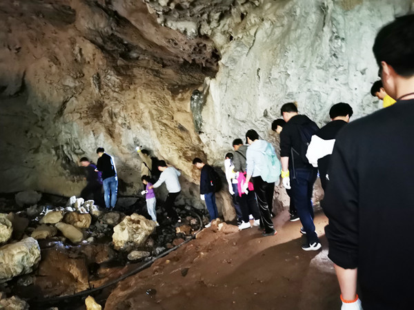 2021晶飛“百丈營地+紀(jì)龍山”團建活動(圖9) 2021晶飛“百丈營地+紀(jì)龍山”團建活動(圖9)